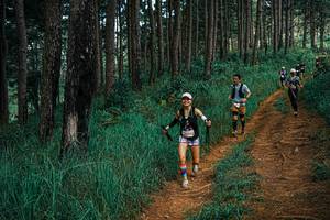 BIB: 
                            <button type="button" onclick="openModal(25737321)" class="btn btn-primary btn-sm float-right btn-popup" data-toggle="modal" data-target=".modal-high-quality">
                        <i class="fas fa-shopping-cart"></i> Add to Cart
                    </button>
                                            <button type="button" onclick="isThisMe(25737321, true)" class="btn btn-success btn-sm float-right btn-popup btn-isme hidden" data-toggle="tooltip" data-placement="bottom" title="นี่คือรูปของคุณใช่ไหม คลิกที่นี่เพื่อเอาเข้าอัลบั้ม">
                        <i class="fas fa-plus"></i> Add to album
                    </button>
                    <button type="button" onclick="isThisMe(25737321, false)" class="btn btn-warning btn-sm float-right btn-popup btn-isnotme hidden">
                        <i class="fas fa-ban"></i> Remove from album
                    </button>